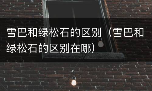 雪巴和绿松石的区别（雪巴和绿松石的区别在哪）