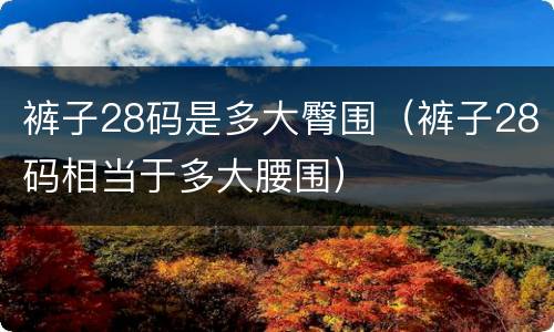 裤子28码是多大臀围（裤子28码相当于多大腰围）