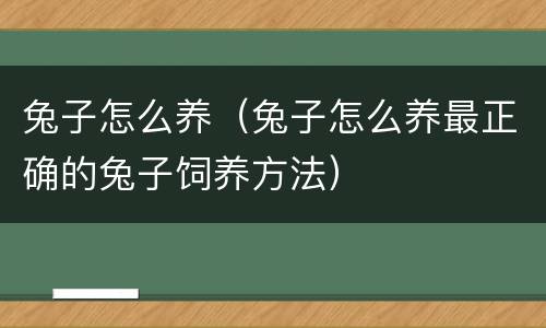 兔子怎么养（兔子怎么养最正确的兔子饲养方法）
