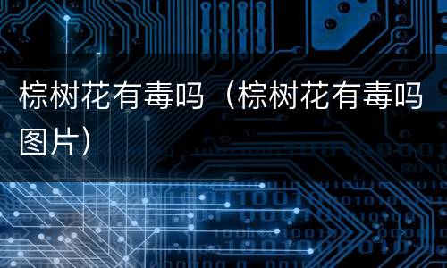 棕树花有毒吗（棕树花有毒吗图片）