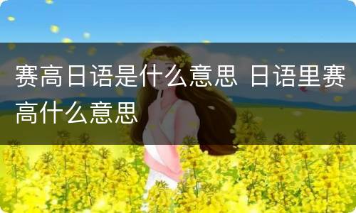 赛高日语是什么意思 日语里赛高什么意思