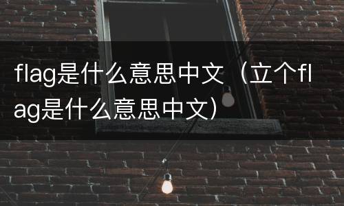 flag是什么意思中文（立个flag是什么意思中文）