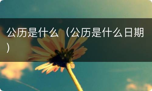 公历是什么（公历是什么日期）