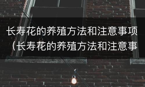 长寿花的养殖方法和注意事项（长寿花的养殖方法和注意事项剪枝）