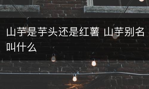 山芋是芋头还是红薯 山芋别名叫什么