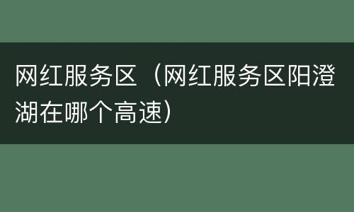 网红服务区（网红服务区阳澄湖在哪个高速）