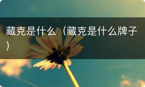 藏克是什么（藏克是什么牌子）