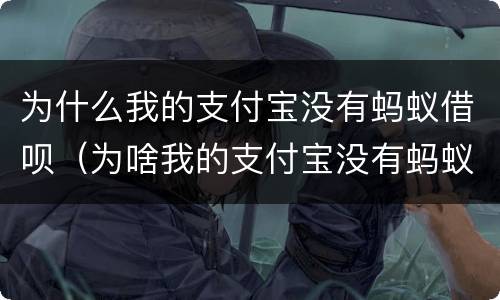 为什么我的支付宝没有蚂蚁借呗（为啥我的支付宝没有蚂蚁借呗）