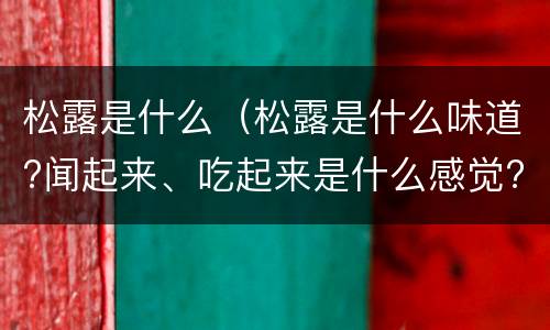 松露是什么（松露是什么味道?闻起来、吃起来是什么感觉?）