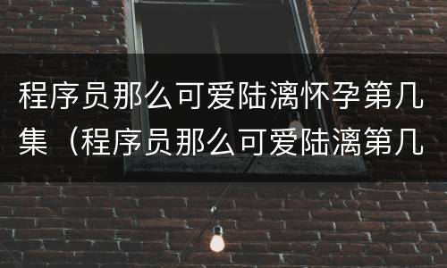 程序员那么可爱陆漓怀孕第几集（程序员那么可爱陆漓第几集被发现）