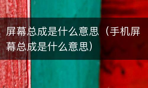 屏幕总成是什么意思（手机屏幕总成是什么意思）
