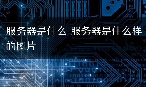 服务器是什么 服务器是什么样的图片