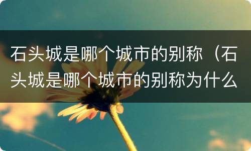 石头城是哪个城市的别称（石头城是哪个城市的别称为什么呢）