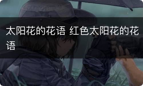 太阳花的花语 红色太阳花的花语