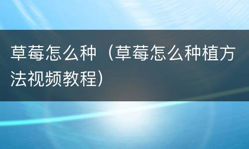 草莓怎么种（草莓怎么种植方法视频教程）