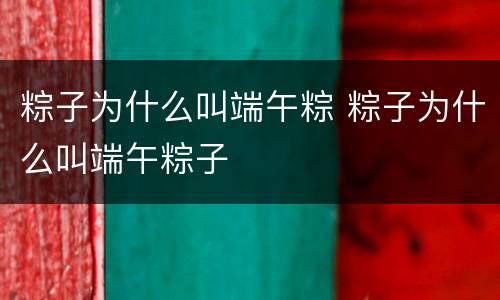 粽子为什么叫端午粽 粽子为什么叫端午粽子