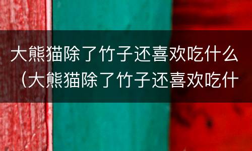 大熊猫除了竹子还喜欢吃什么（大熊猫除了竹子还喜欢吃什么东西）