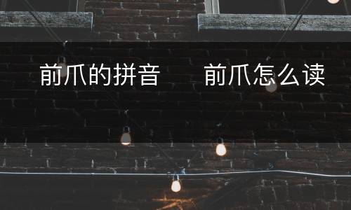 ​前爪的拼音  ​前爪怎么读