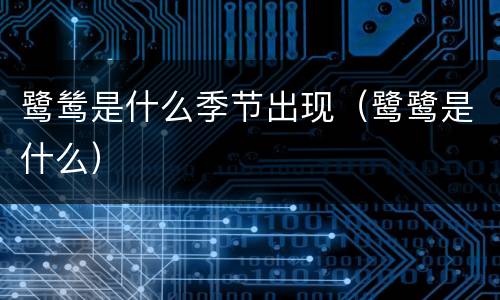 鹭鸶是什么季节出现（鹭鹭是什么）