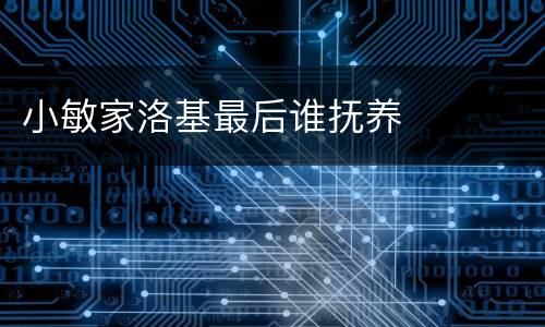 小敏家洛基最后谁抚养