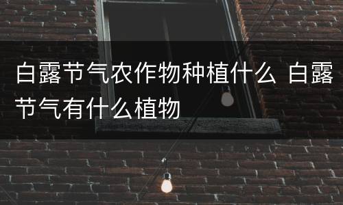 白露节气农作物种植什么 白露节气有什么植物