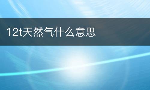 12t天然气什么意思