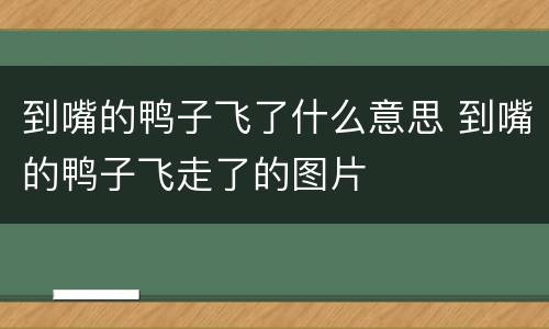 到嘴的鸭子飞了什么意思 到嘴的鸭子飞走了的图片