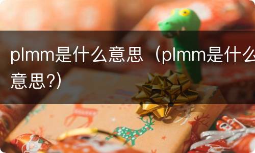 plmm是什么意思（plmm是什么意思?）