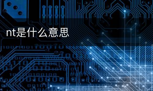 nt是什么意思
