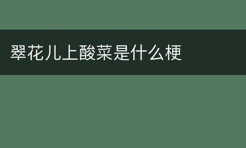 翠花儿上酸菜是什么梗