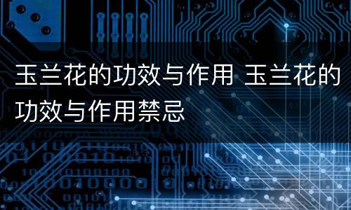 玉兰花的功效与作用 玉兰花的功效与作用禁忌