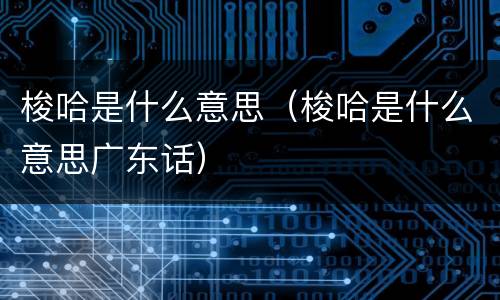 梭哈是什么意思（梭哈是什么意思广东话）