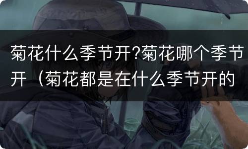 菊花什么季节开?菊花哪个季节开（菊花都是在什么季节开的）
