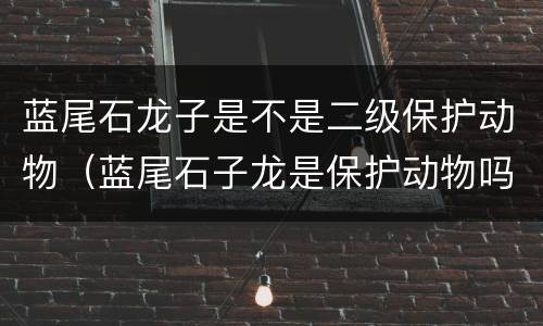 蓝尾石龙子是不是二级保护动物（蓝尾石子龙是保护动物吗）