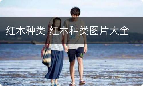 红木种类 红木种类图片大全