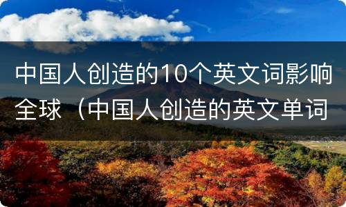 中国人创造的10个英文词影响全球（中国人创造的英文单词）