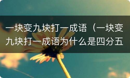 一块变九块打一成语（一块变九块打一成语为什么是四分五裂）