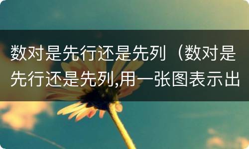 数对是先行还是先列（数对是先行还是先列,用一张图表示出来）