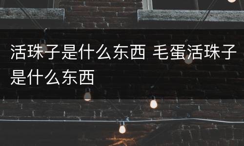 活珠子是什么东西 毛蛋活珠子是什么东西