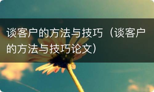 谈客户的方法与技巧（谈客户的方法与技巧论文）