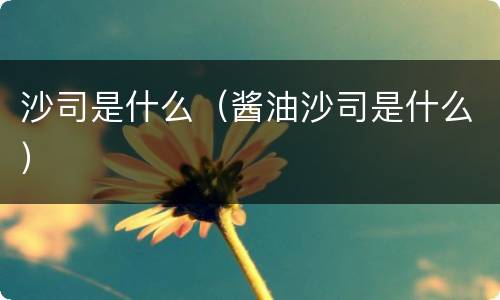 沙司是什么（酱油沙司是什么）