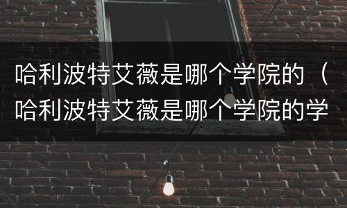 哈利波特艾薇是哪个学院的（哈利波特艾薇是哪个学院的学生）