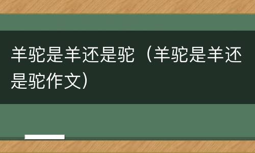 羊驼是羊还是驼（羊驼是羊还是驼作文）