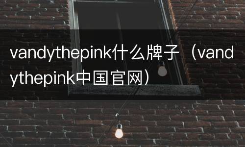 vandythepink什么牌子（vandythepink中国官网）