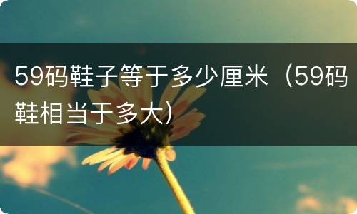 59码鞋子等于多少厘米（59码鞋相当于多大）