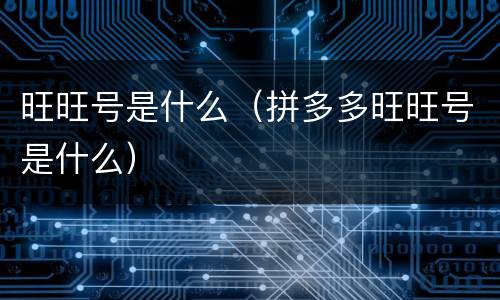 旺旺号是什么（拼多多旺旺号是什么）