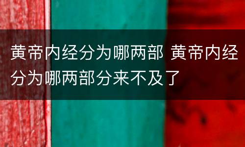 黄帝内经分为哪两部 黄帝内经分为哪两部分来不及了