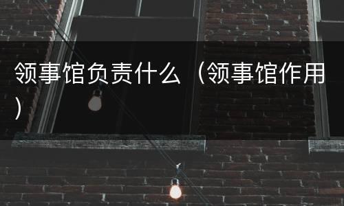 领事馆负责什么（领事馆作用）