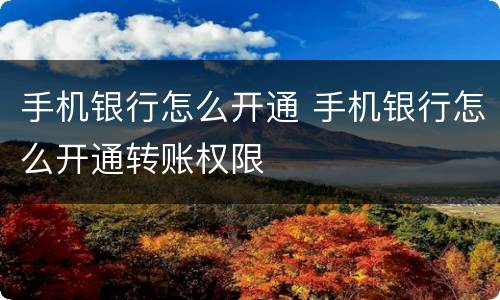 手机银行怎么开通 手机银行怎么开通转账权限