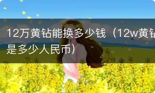 12万黄钻能换多少钱（12w黄钻是多少人民币）